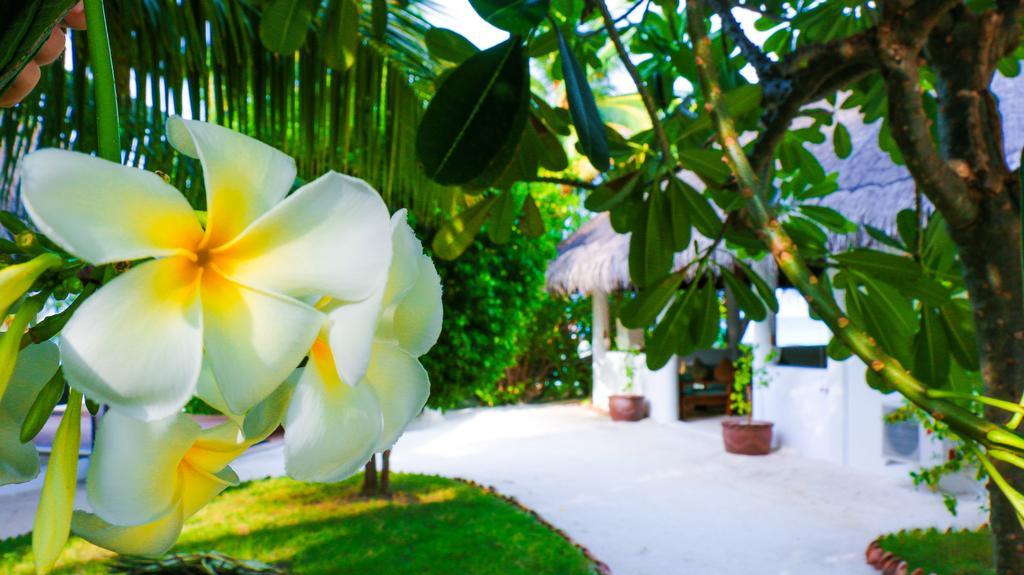 דנגטי Vakarufalhi Maldives מראה חיצוני תמונה